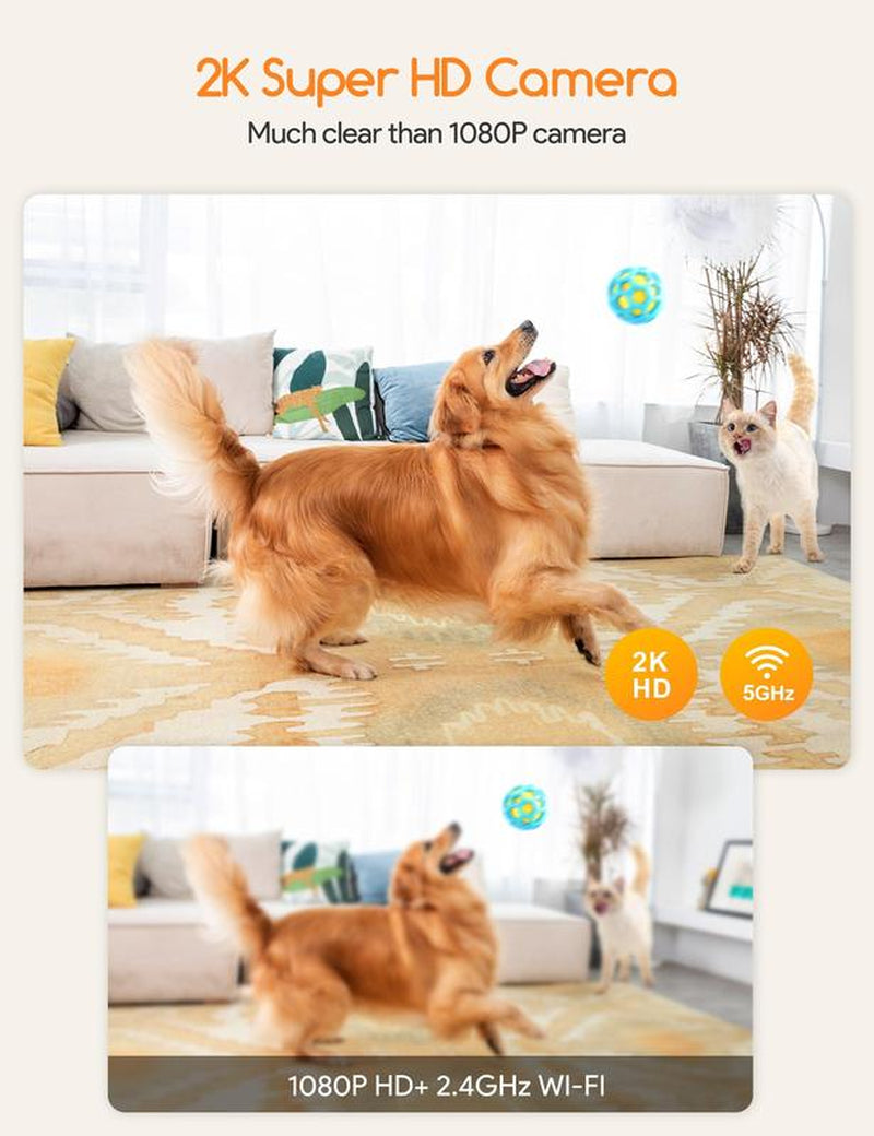 Meowant Interactive Dog Treat Dispenser with 2K HD Camera
