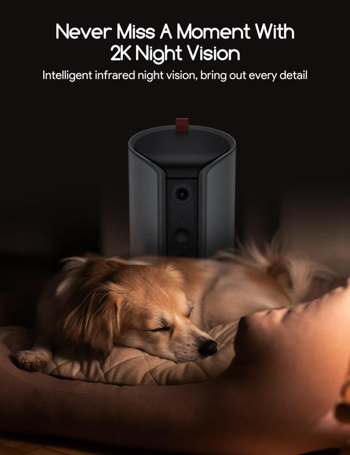 Meowant Interactive Dog Treat Dispenser with 2K HD Camera