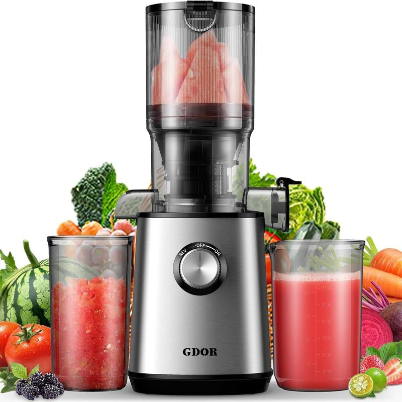 Premium Cold Press Juicer with Versatile Feed Chutes and Powerful Masticating Motor for Fresh Juice Extraction