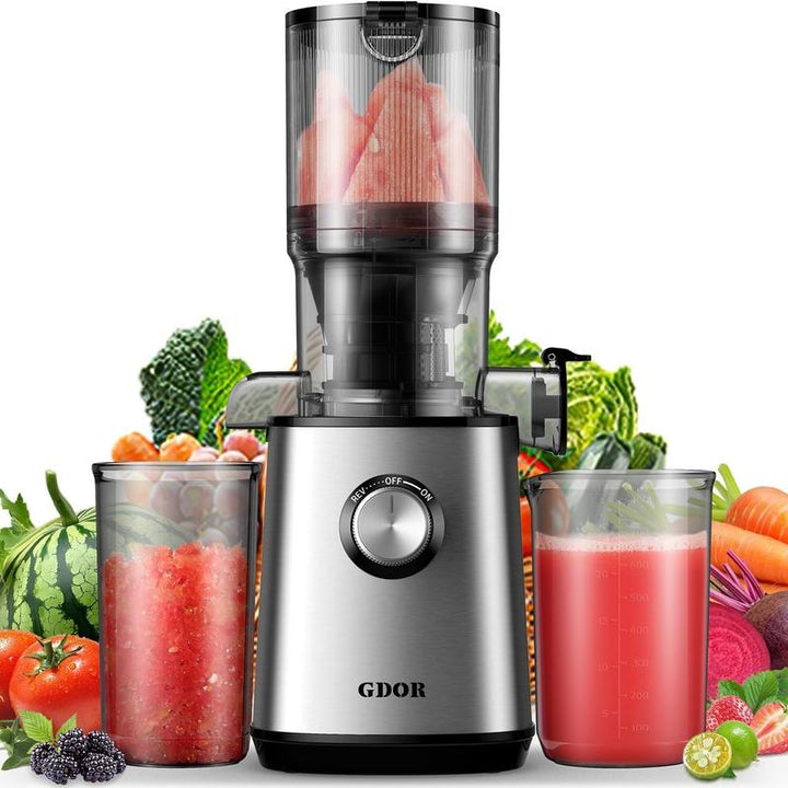 Premium Cold Press Juicer with Versatile Feed Chutes and Powerful Masticating Motor for Fresh Juice Extraction