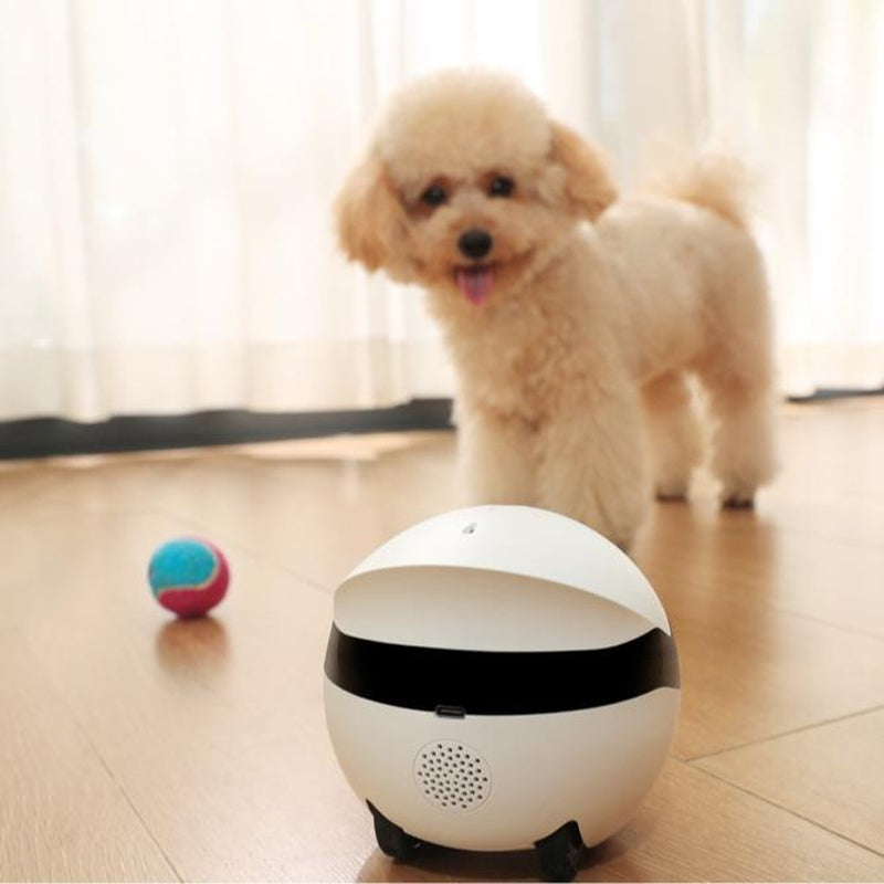 Enabot Ebo ROLA Mini 2K Camera Robot - Your Smart Pet Companion with 25 Days Battery Life, Two-Way Audio & Built-In Call Button!